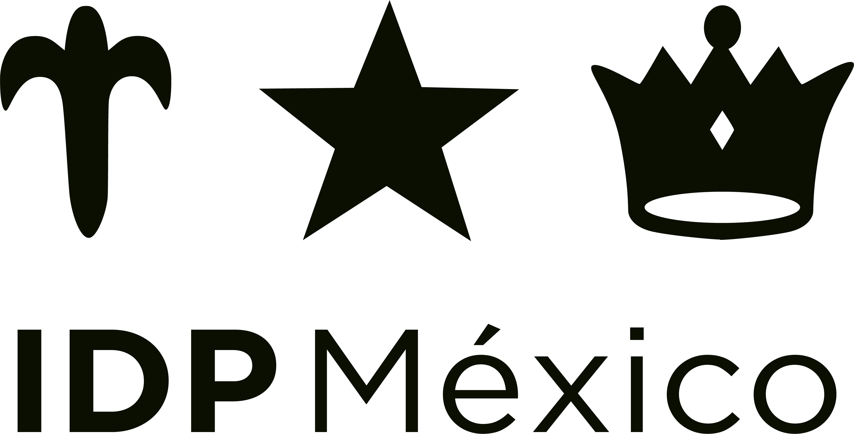 IDP México